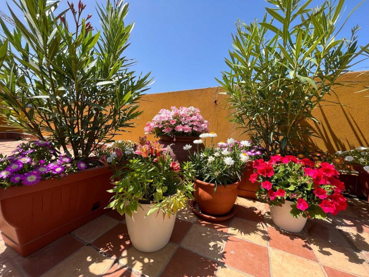 Casa Yvona Apartment Alghero Luaran gambar